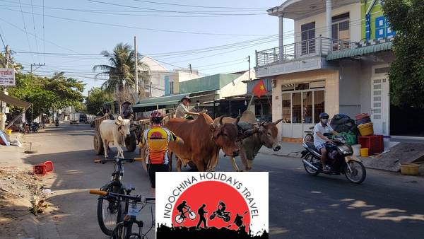 17 Days Hanoi Cycling To Luang Prabang - Chieng Khong