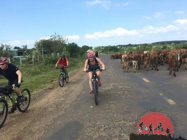 12 Days Northern Vietnam Challeges To Heaven Gate Cycle Tours