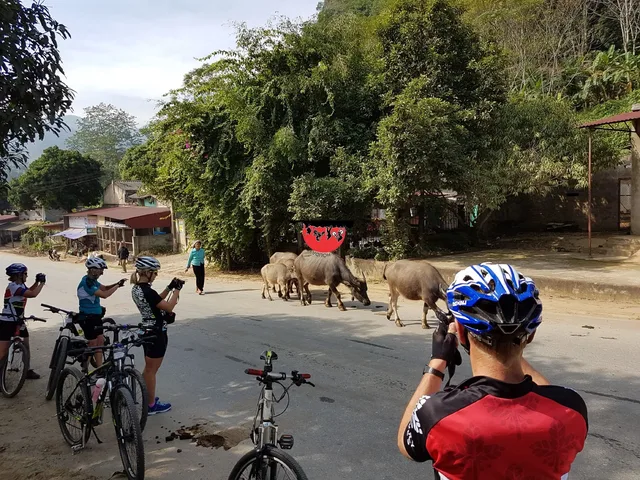 Hanoi Experience City Tour and Cooking Class - 6 Hours