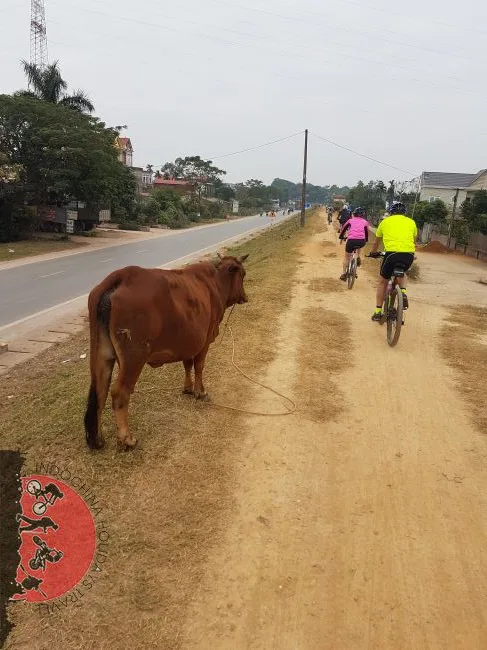 Hanoi Cycle To Tam Coc caves - Ninh Binh - 1 Day 1