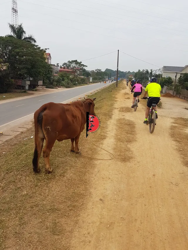 Hanoi Cycling To Villages and Co Loa Citadel - 1 Day 1