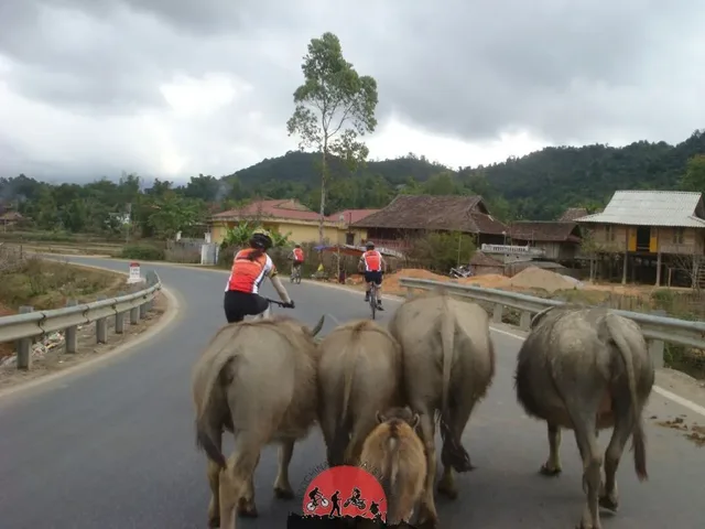 Mighty Red River Delta Cycling Tour – 7 Days 4