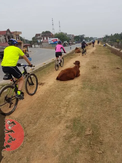 Vietnam Mountain Challenging Cycling Tour – 13 Days 2