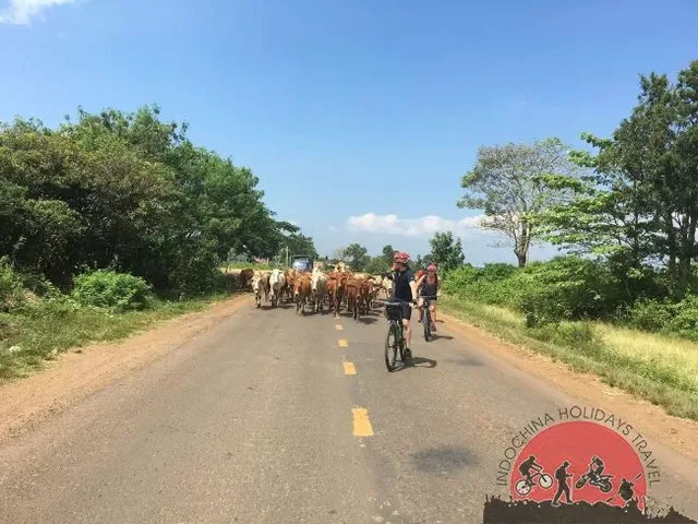 Vietnam Mystery Cycle Tours – 41 Days 4